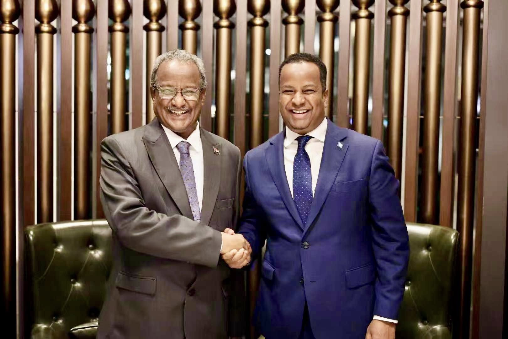 Somalia, Sudan Discuss Strengthening Ties During FOCAC Meeting
