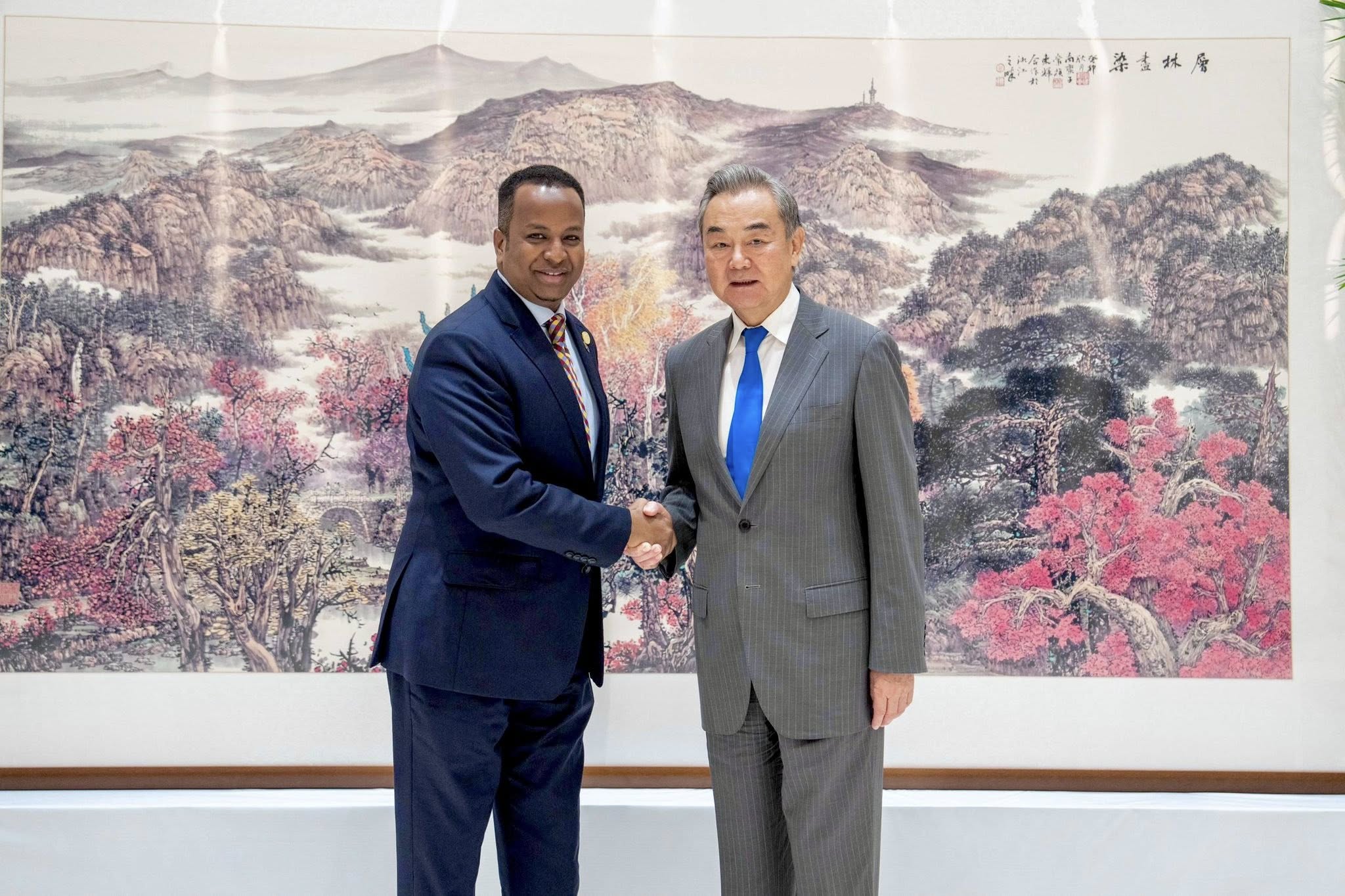 Somali FM Discusses Strengthening Ties with Chinese Foreign Minister