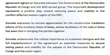 Press Statement (for immediate release)