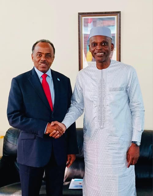 Somali State Minister for Foreign Affairs Discusses Bilateral Ties with Togolese FM