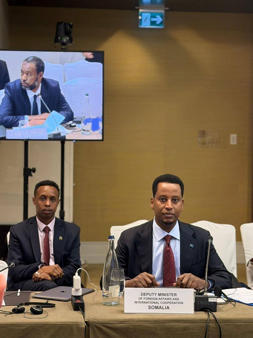 Somali Deputy FM Participates in High-Level Forum on Migrant Protection