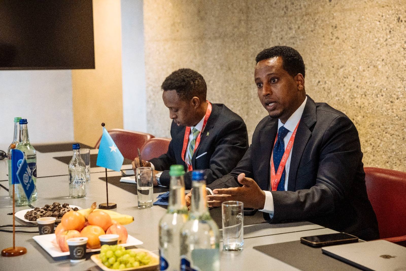 Somali Deputy FM Discusses Diaspora Engagement and Drought Response with IOM DG