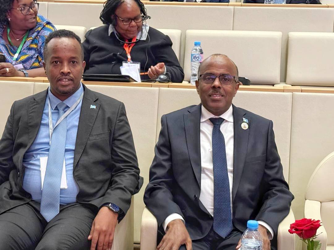 Somali State Minister for Foreign Affairs Participates in International Conference on Criminalizing Colonialism in Africa, Hosted by Algeria