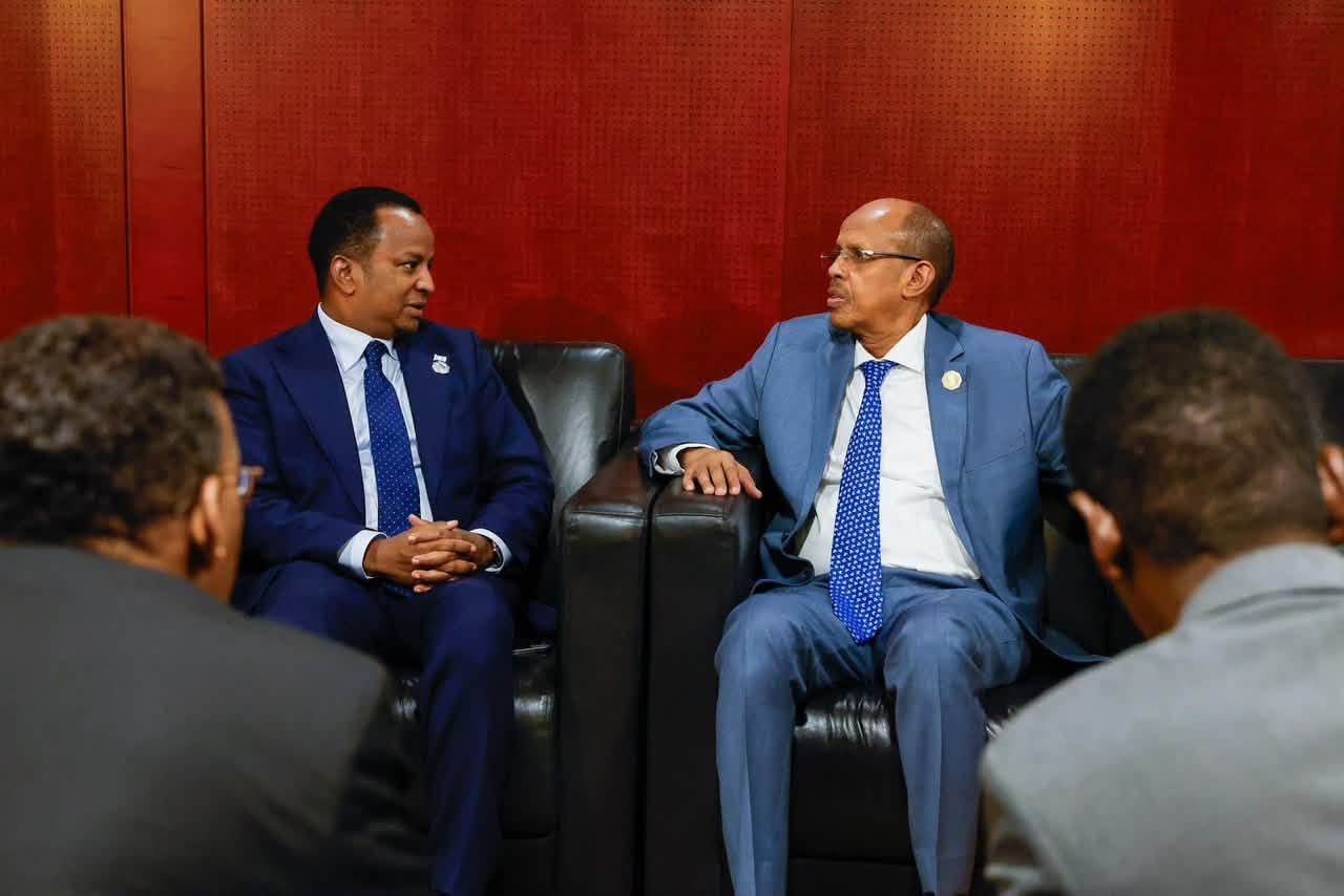Minister Meets AU Commission Chairperson