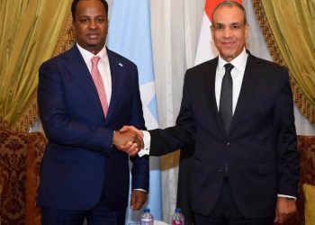 Minister of Foreign Affairs Meets Egyptian Counterpart in Cairo