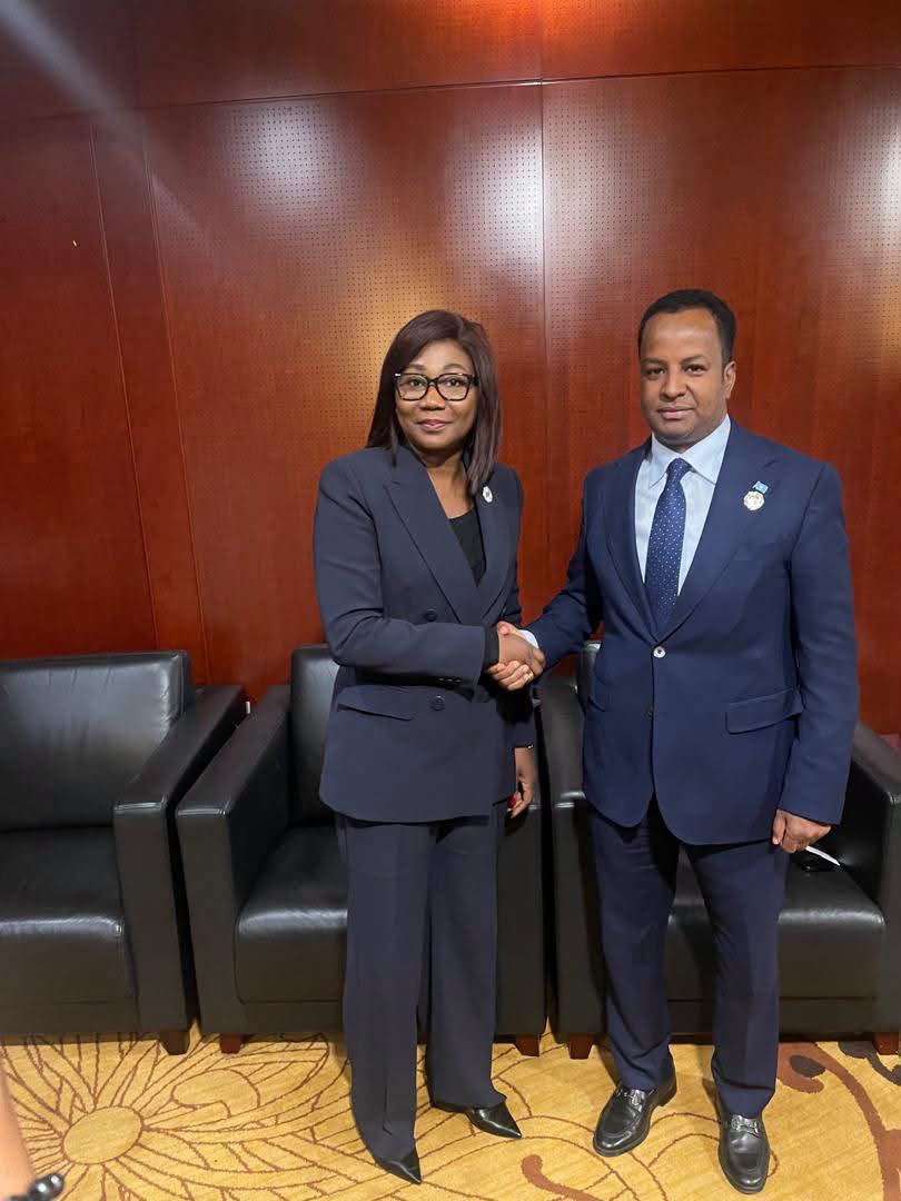Somalia and Central African Republic Strengthen Bilateral Ties at African Union Executive Council