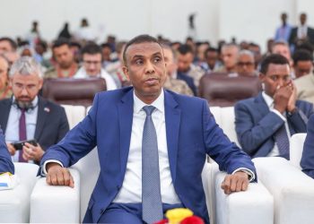 Somalia and Türkiye Mark 15 Years of Partnership