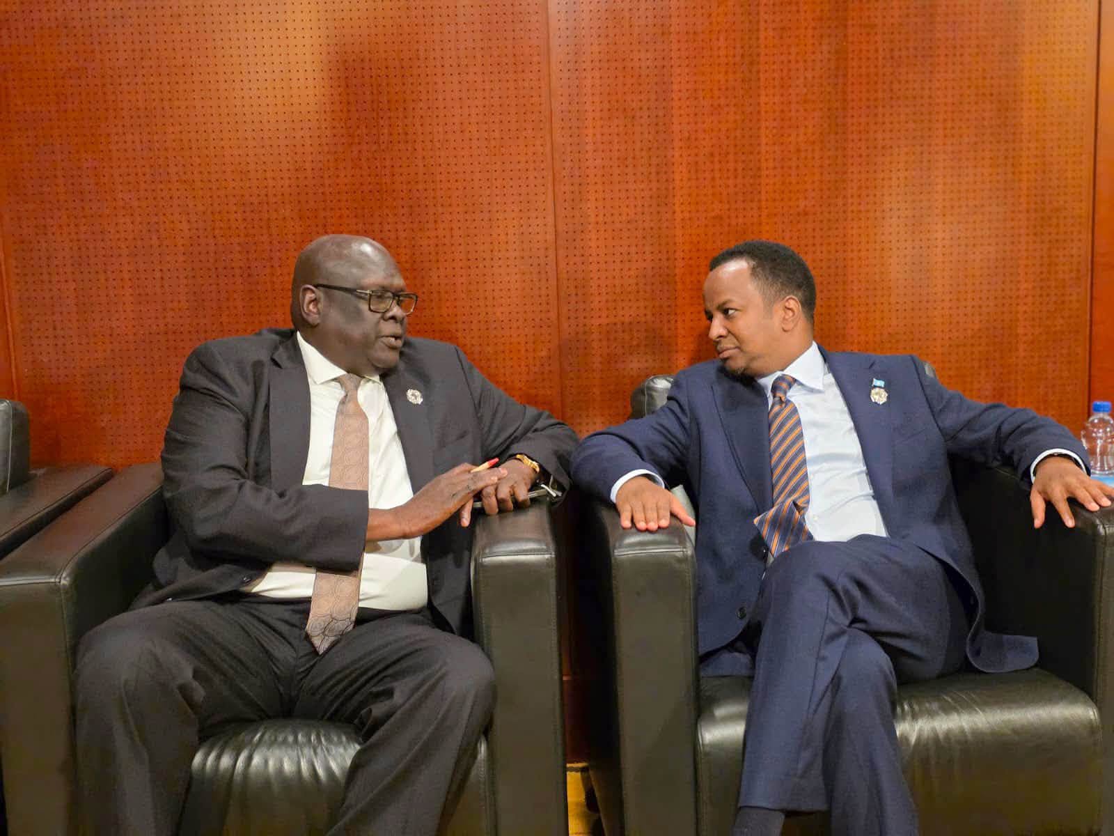 Somalia and South Sudan Deepen Partnership at African Union Executive Council