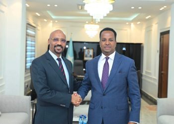Minister Receives Ethiopian Ambassador on Farewell Courtesy Call