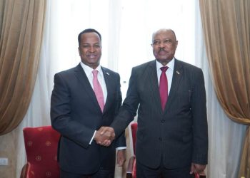 Somalia and Sudan Hold Bilateral Talks in Cairo