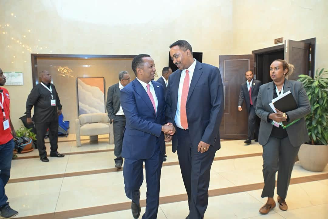 Somalia Participates in the 74th Extraordinary Session of the IGAD Council of Ministers